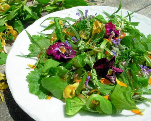 Flower and Herb Salad