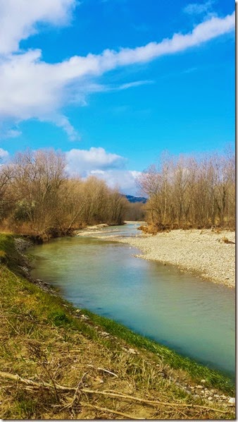 pic20150308_101553