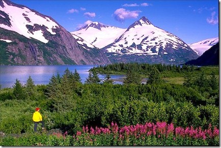 gorgeous-scenery_3921