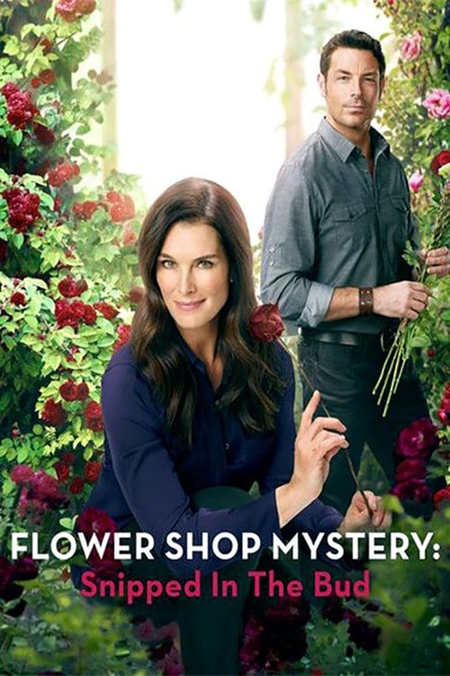 [HD] Flower Shop Mystery: Snipped in the Bud 2016 Pelicula Online Castellano