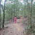 VỊNH SONG THU