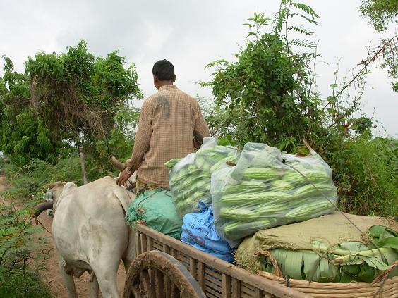 What are the prerequisites of successful agricultural credit or rural credit programme ?