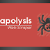 Scrapolysis Chrome Extension | #SEOTool