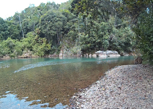 Caves Branch Archaeological Reserve