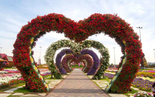 The Miracle Garden