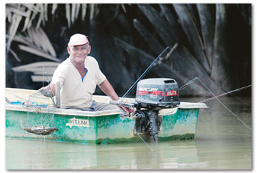 UDANG GALAH: INFO SUNGAI LINGGI DAN SUNGAI TIMUN