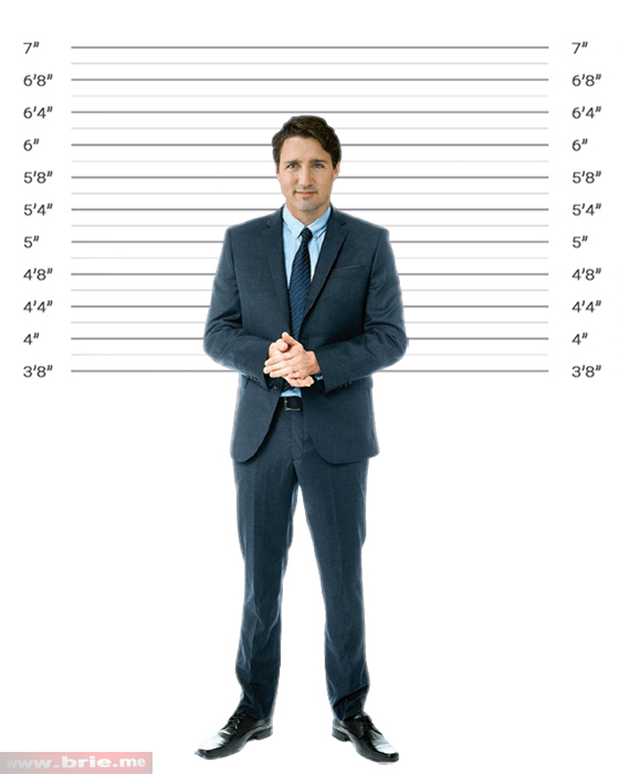 Justin Trudeau standing in height background