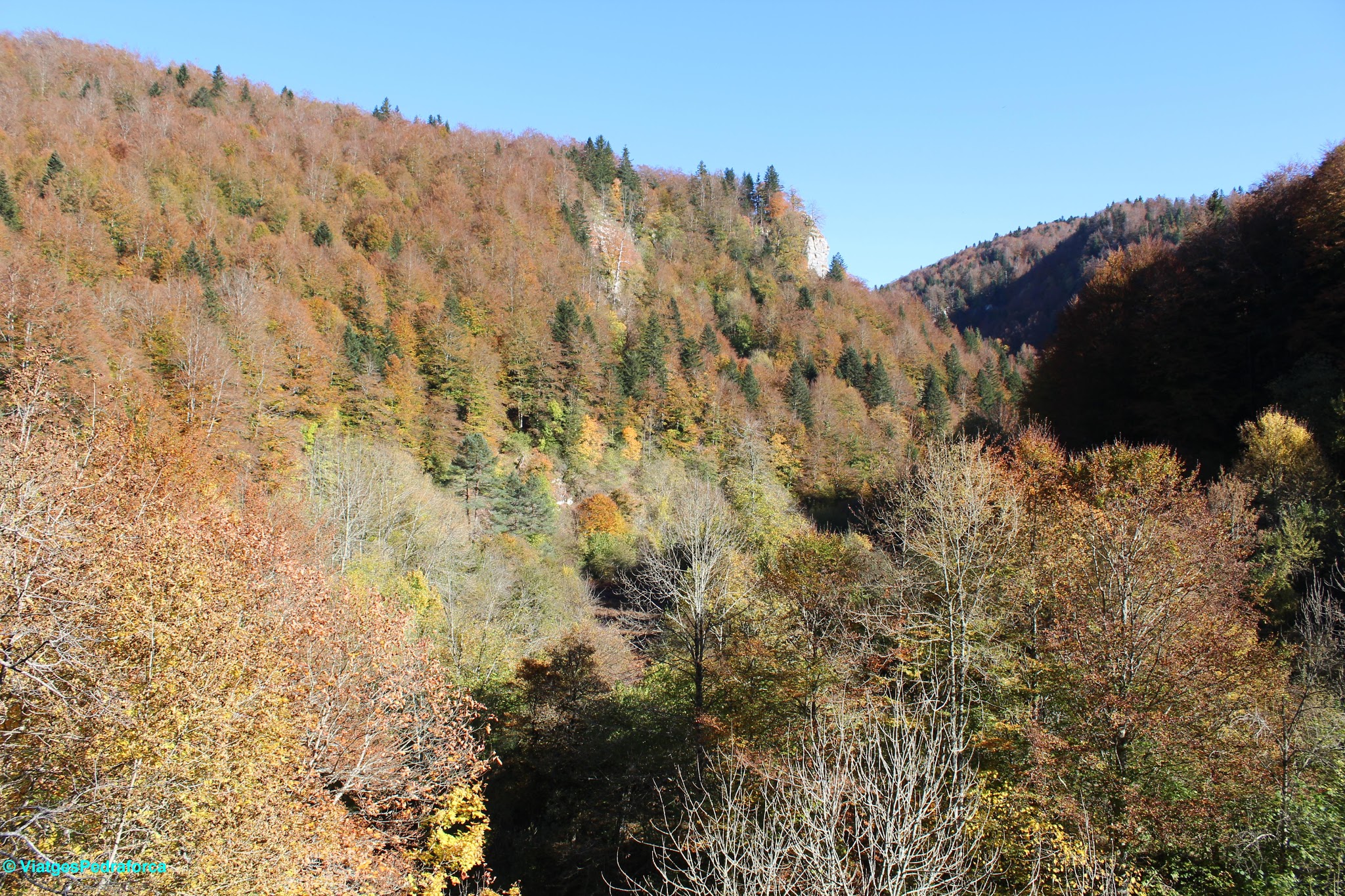 Prineu de Navarra, senderisme, colors de tardor