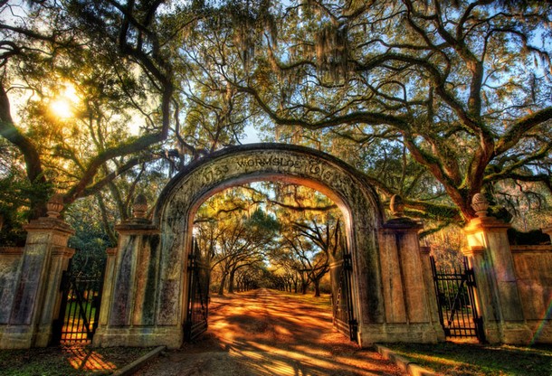 Georgia Wormsloe Historic Site, Savannah