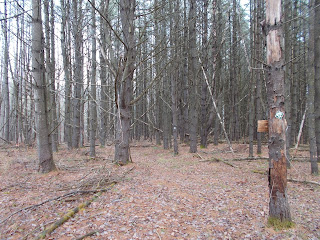 DaCy Meadows Lodging, Adirondaks, hiking trail