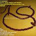 Muslim Prayer Beads Horn and wood: Tasbih TANDUK SAPI MERAH kombinasi kayu STIGI WULUNG 99 biji diameter 7 mm