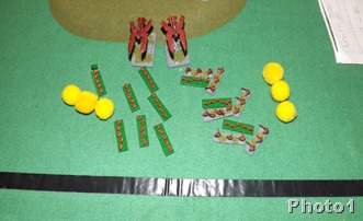 DSCF6257