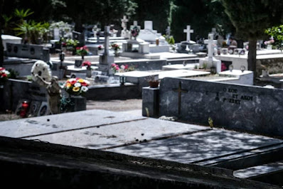 Ελαιόλαδο: Κλέβουν μπουκάλια από τα νεκροταφεία στη Θεσσαλονίκη – Οι αυξήσεις φέρνουν παραβατικότητα