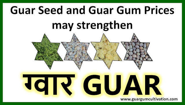 Guar Seed and Guar Gum Prices may strengthen with Improving Global Economic Activities