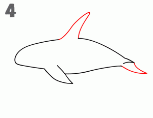 تعلم كيف رسم الحوت