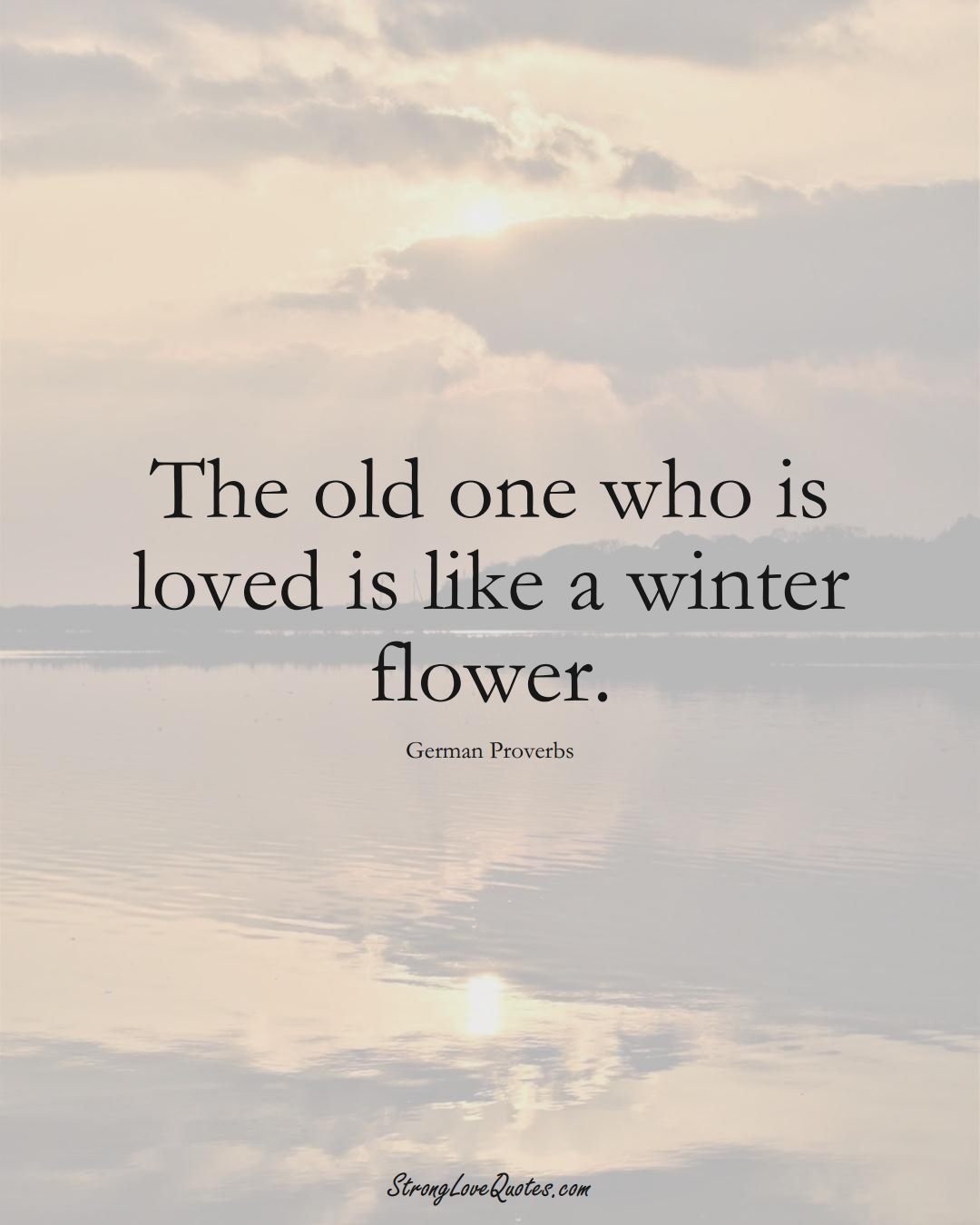 The old one who is loved is like a winter flower. (German Sayings);  #EuropeanSayings