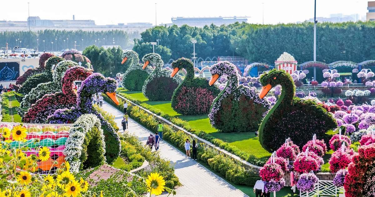 Dubai-Miracle-Garden