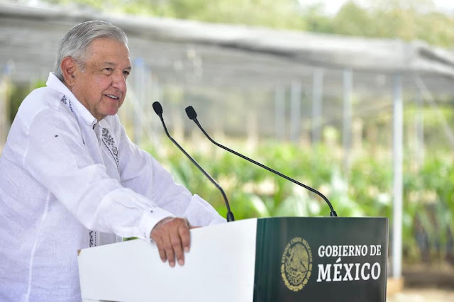 México reducirá pedidos a Pfizer para que la ONU disponga de vacunas para países pobres