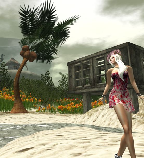 Snapshot_001.1