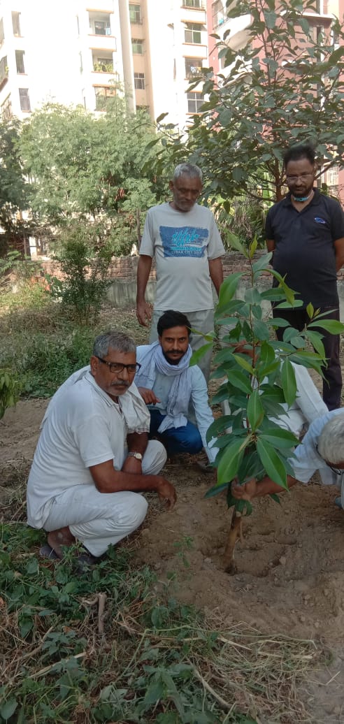 मुस्लिम सेवा समिति मकनपुर ने किया पौधा रोपण