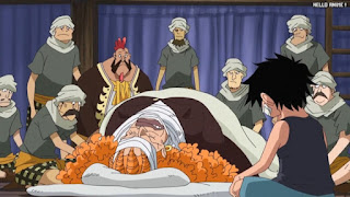 ワンピースアニメ 503話 ダダン一家 | ONE PIECE Episode 503 ASL