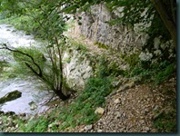 DSCN8360