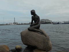 DSCN5564