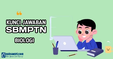 Kunci Jawaban Soal TKA Biologi SBMPTN 2022