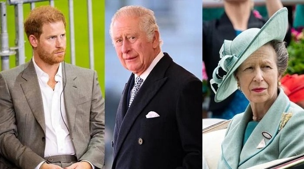 Princess Anne's Significant Decision in Response to King Charles' Offer to Prince Harry