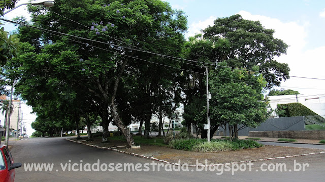 Avenida Maurício Cardoso, com amplo canteiro arborizado