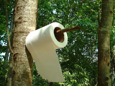 Photo of a toilet paper roll hanging from a tree branch.