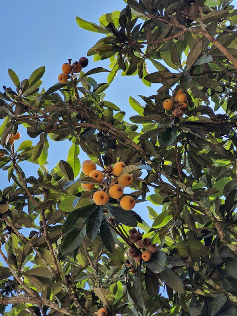 Caminhos de Caravaggio