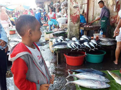 Ambon, Malukupost.com - Harga ikan cakalang segar di pasar ikan Arumbay, kawasan pasar Mardika, Kota Ambon, memasuki hari ketiga perayaan Idul Fitri 1440 Hijriah bergerak naik cukup tinggi, hingga mencapai Rp100.000/ekor. Pantauan di pasar ikan Arumbay, Jumat (7/6), para pedagang menawarkan ikan cakalang segar bervariasi mulai dari Rp30.000 hingga Rp100.000/ekor tergantung ukuran, sedangkan ikan momar Rp20.000/enam ekor, kawalinya RpRp20.000/lima ekor, bubara merah Rp50.000/ekor, kerapu Rp30.000/ekor, lalosi Rp20.000/empat ekor, cumi Rp20.000/15 ekor, ikan puri Rp10.000/tumpuk kecil.