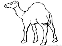 Camel Desert Animal Coloring Sheets