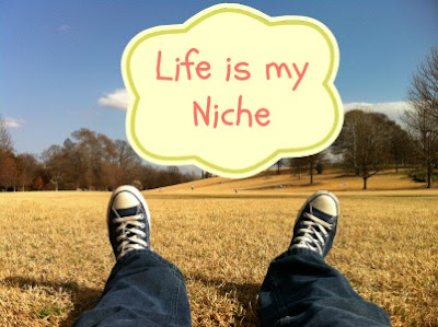 what's your niche?