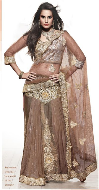 Bollywood Fancy Saree Trends 2012