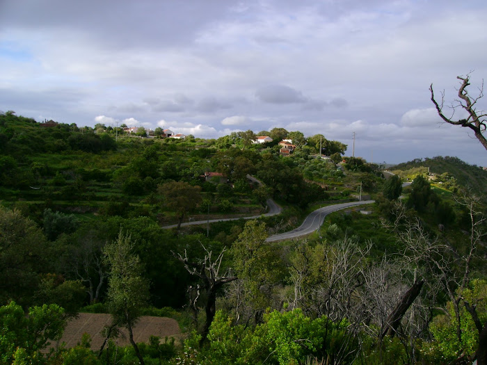 VISTA PARA O ALTO DE BAIXO - ALFERCE