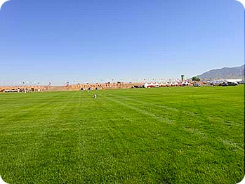 field