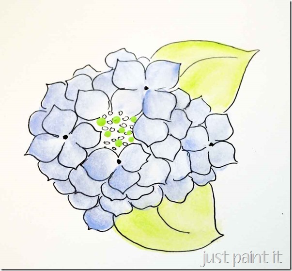 paint-hydrangea-B