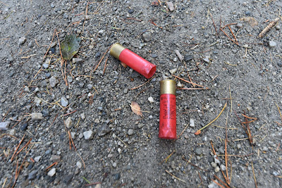 Shotgun shells Trans Canada Trail.
