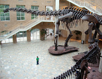 Fernbank Museum of Natural History