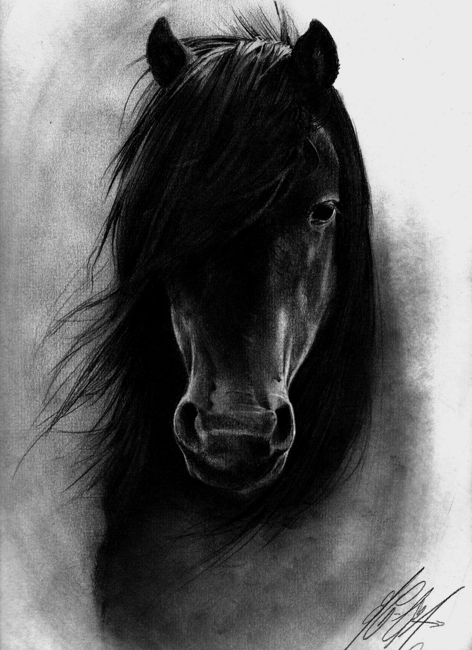 Black Horse by LesIdeesNaufragees