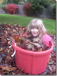 fall leaves 013