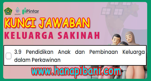 hanapibani.com