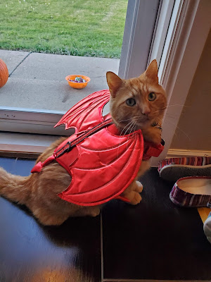 A photo of an orange cat wearing a red devil costume