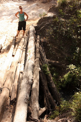 Cypress Creek, Old Telegraph Track, Cape York