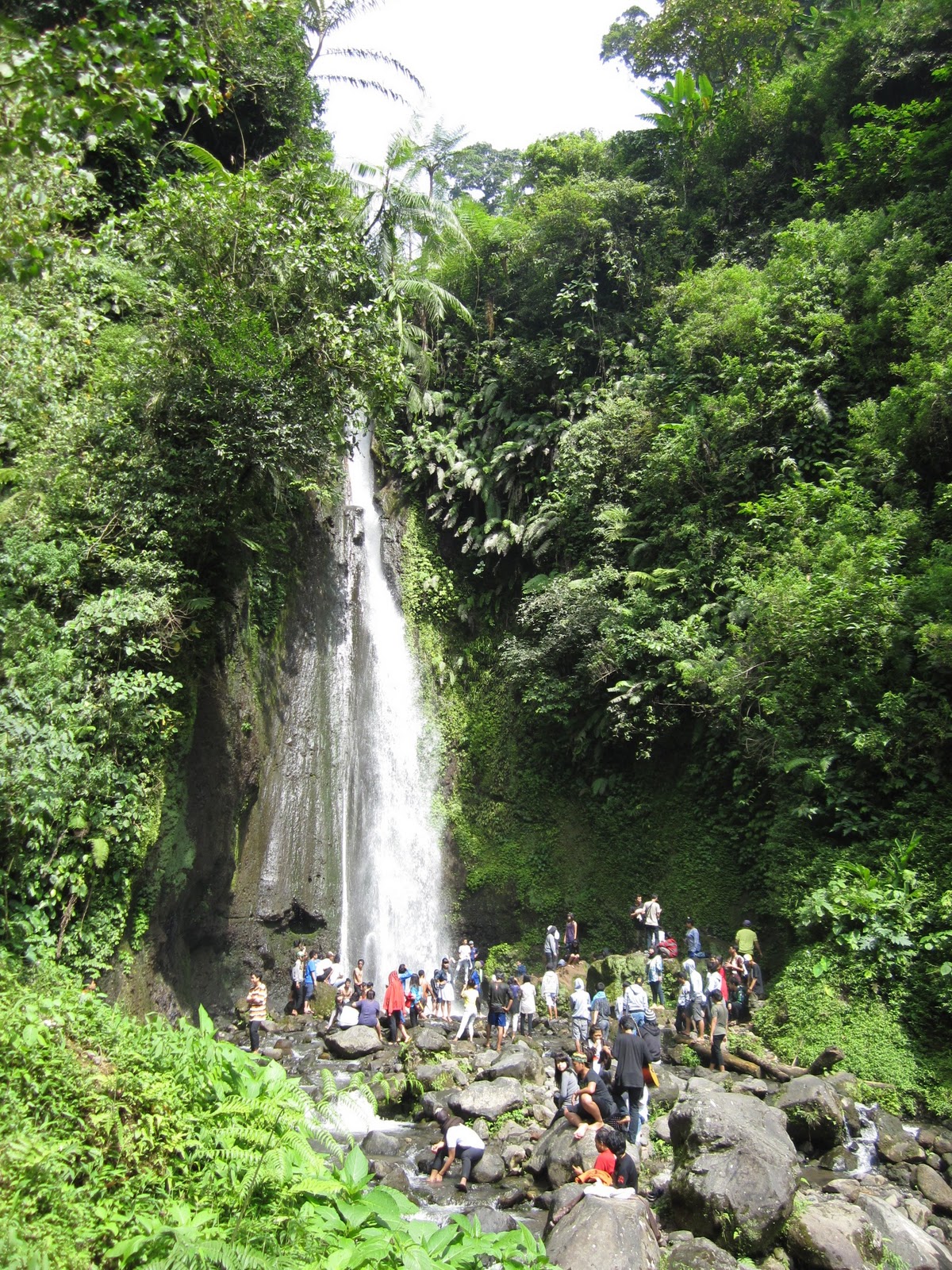 WesaJelajahIndonesia: Kebun Raya Cibodas, Bogor