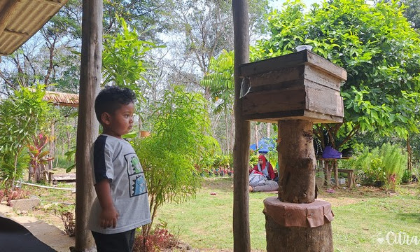 Menikmati Liburan di Gudem Bee Farm Bintan