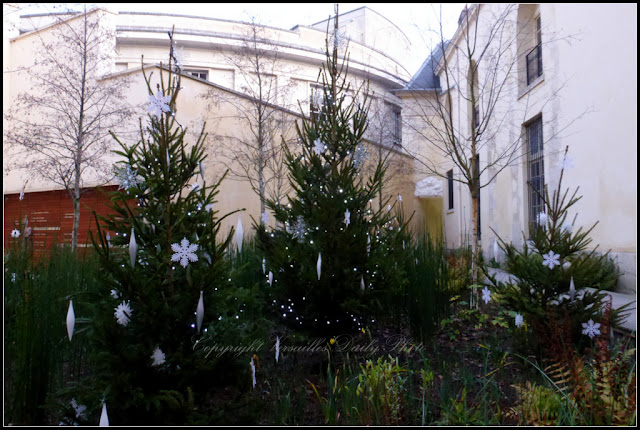 Sapins Noël Cour des Senteurs Versailles