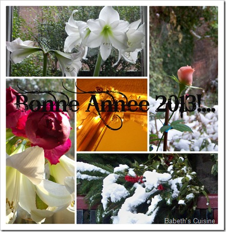 Collage Bonne année 2013